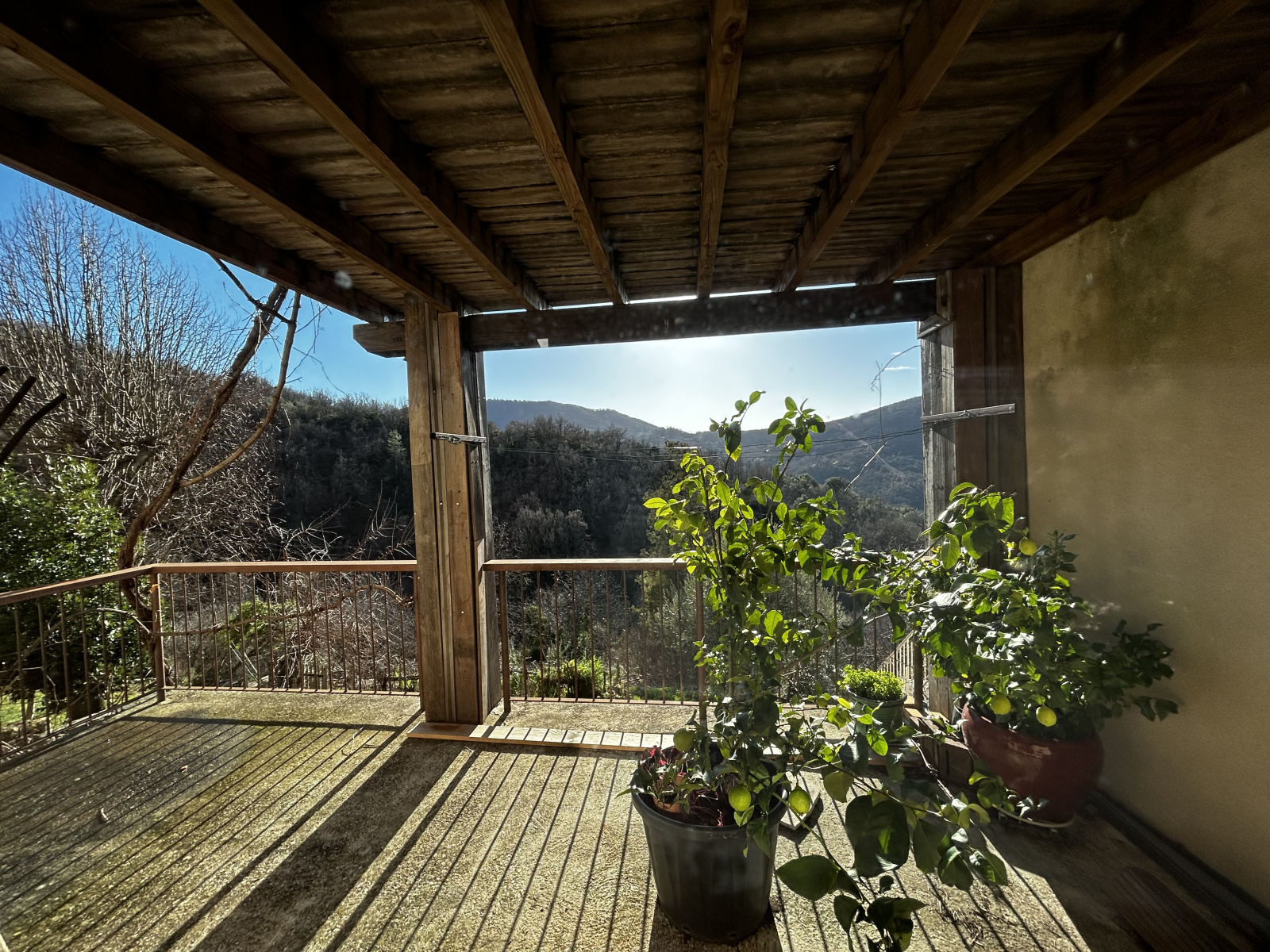 Image_, Maison, Pommiers, ref :2651