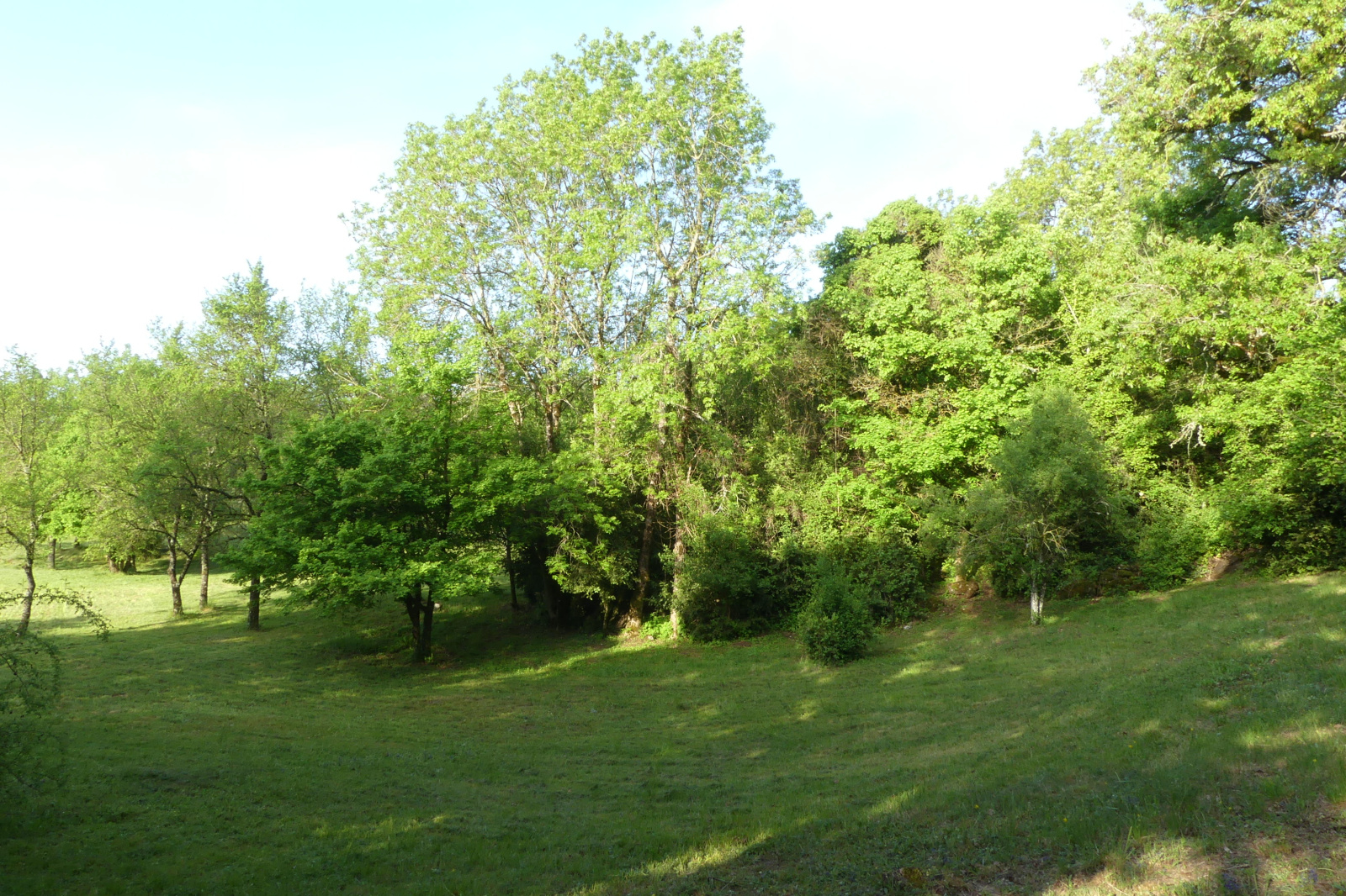 Image_, Terrain, Campestre-et-Luc, ref :908