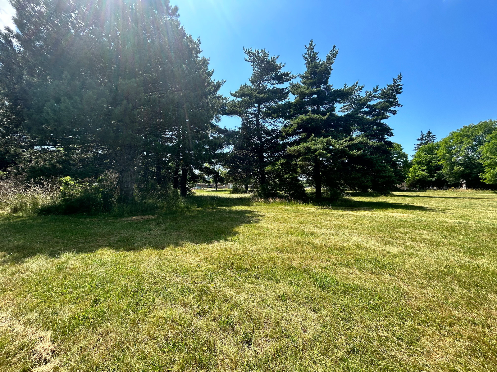 Image_, Terrain, Saint-Sauveur-Camprieu, ref :910