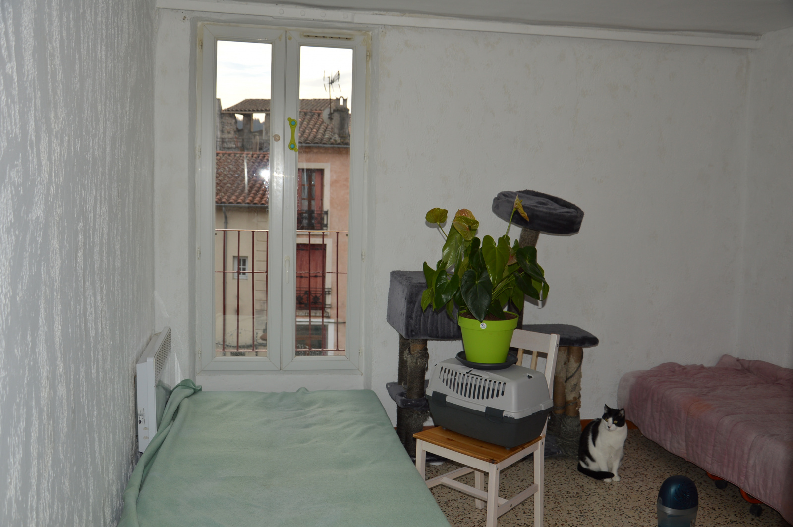Image_, Appartement, Le Vigan, ref :1524