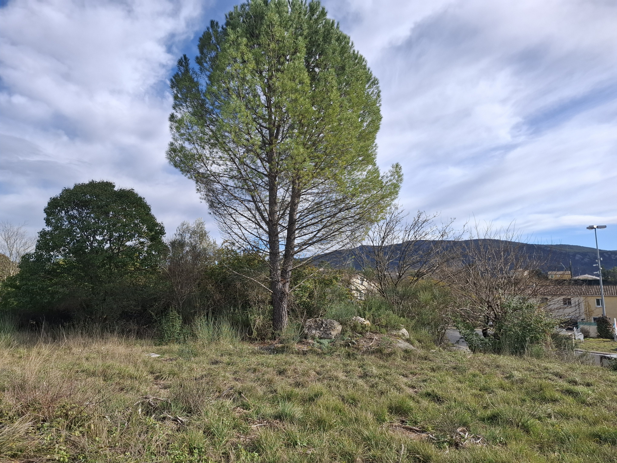 Agence immobilière de Agence Immobilière Cévenole