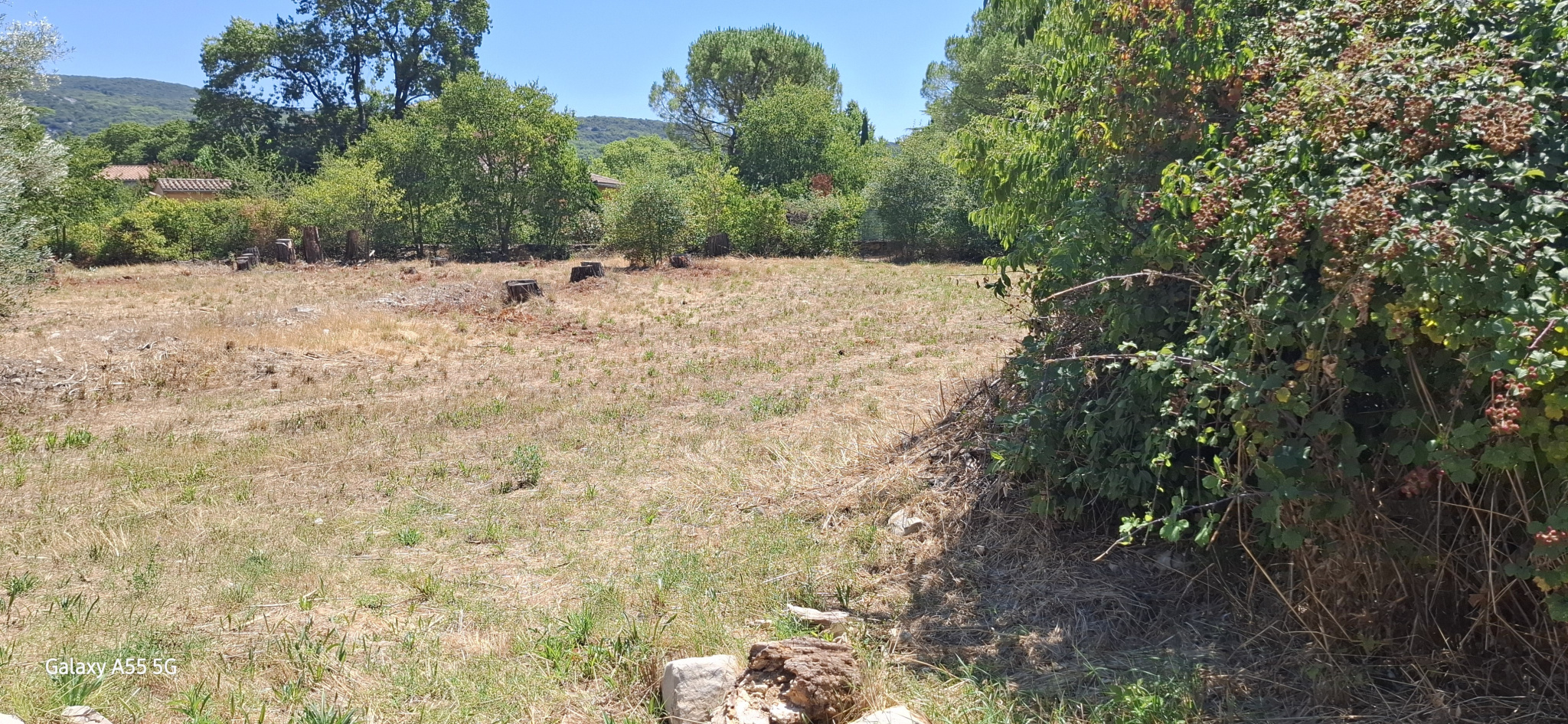 Agence immobilière de Agence Immobilière Cévenole