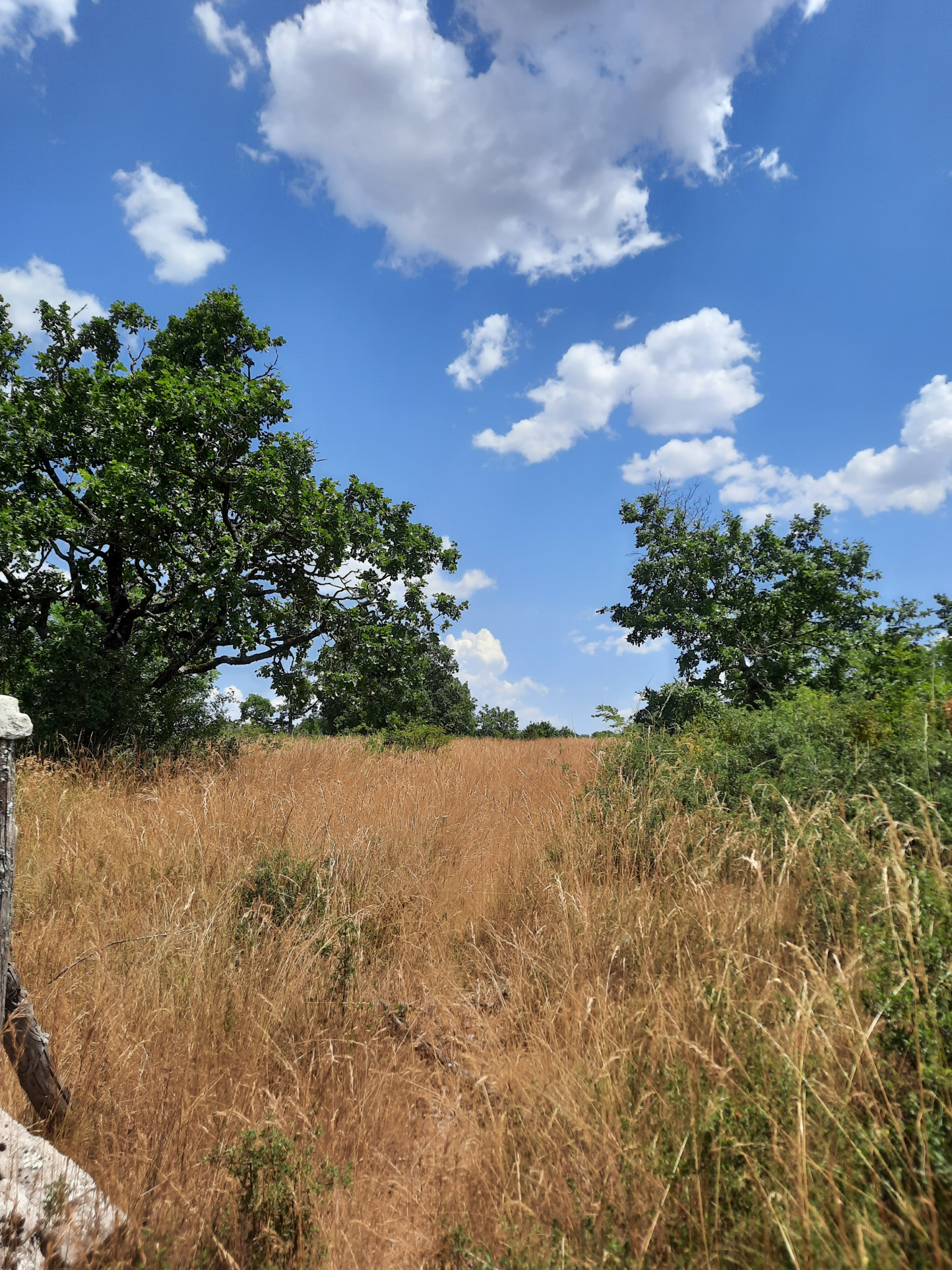 Agence immobilière de Agence Immobilière Cévenole