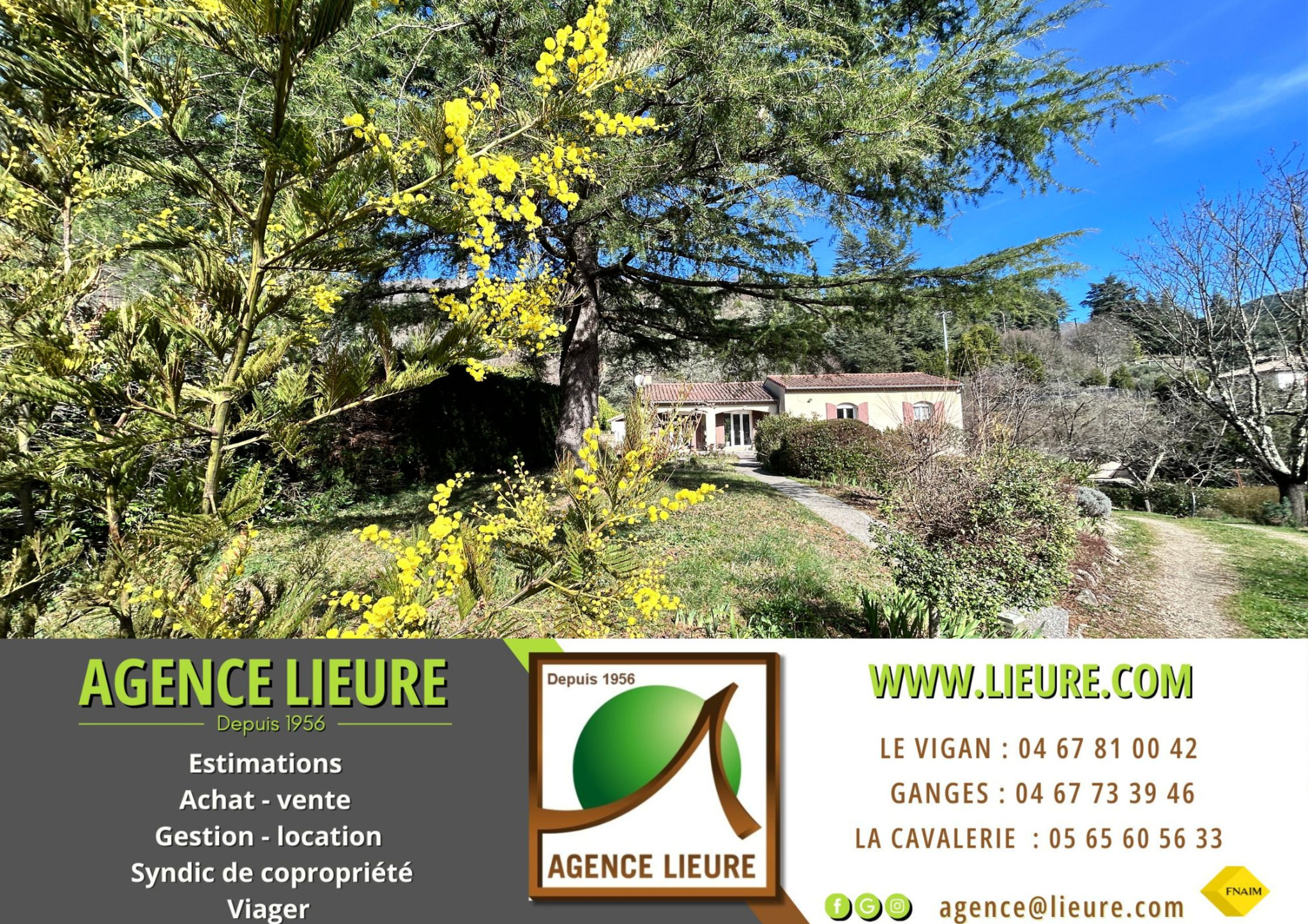 Agence immobilière de Agence Immobilière Cévenole
