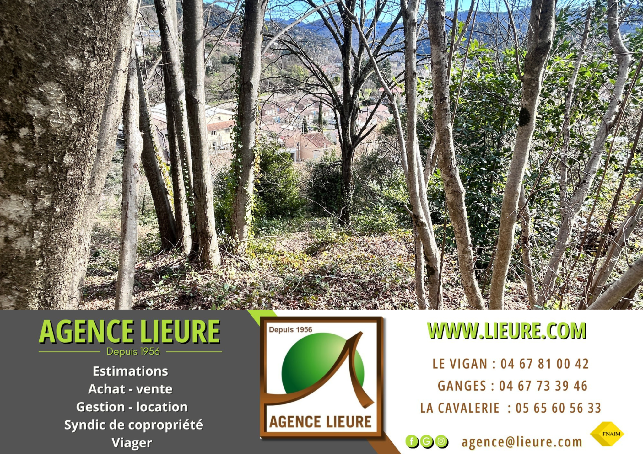 Agence immobilière de Agence Immobilière Cévenole