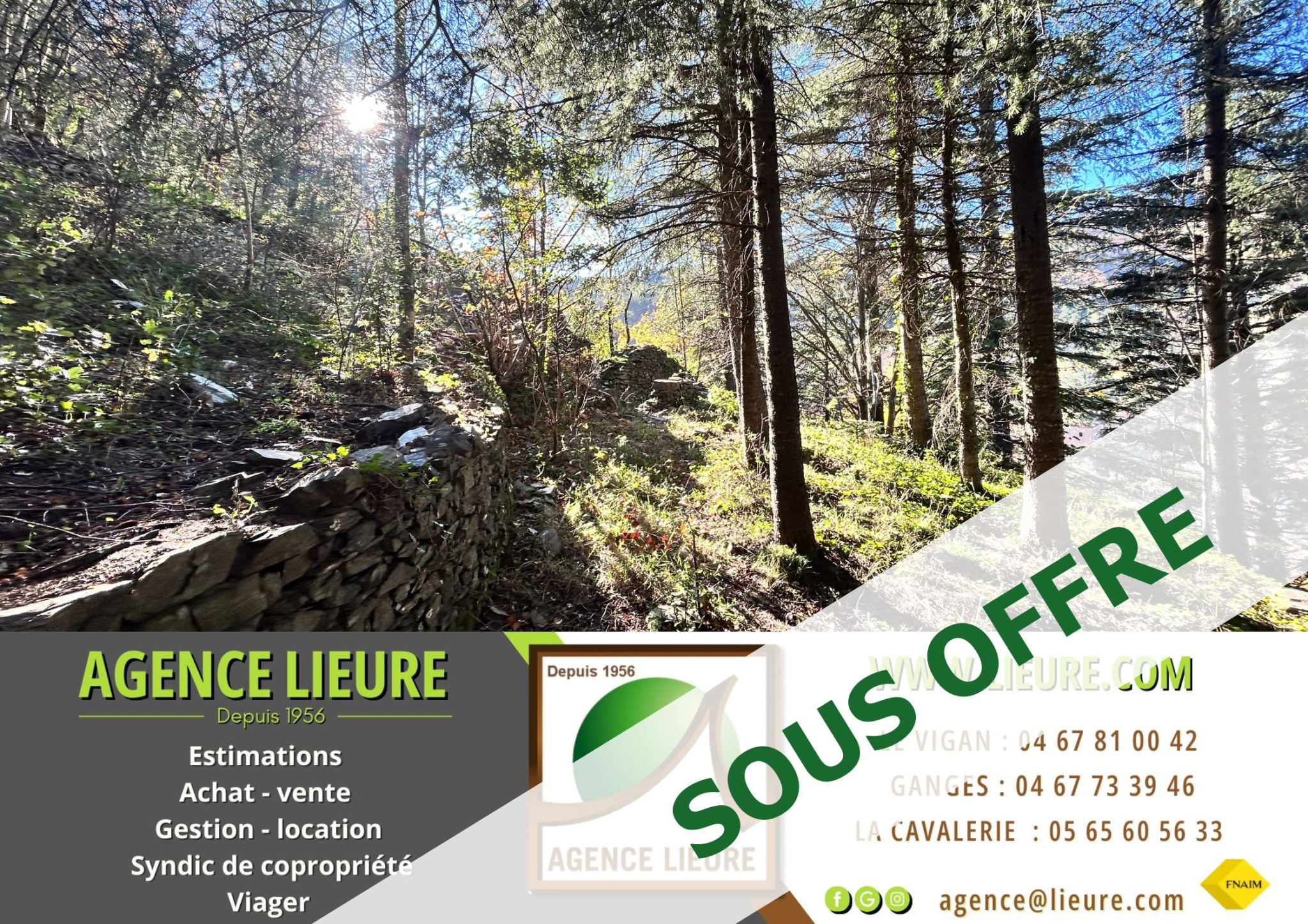 Agence immobilière de Agence Immobilière Cévenole